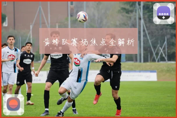 黄蜂队赛场焦点全解析