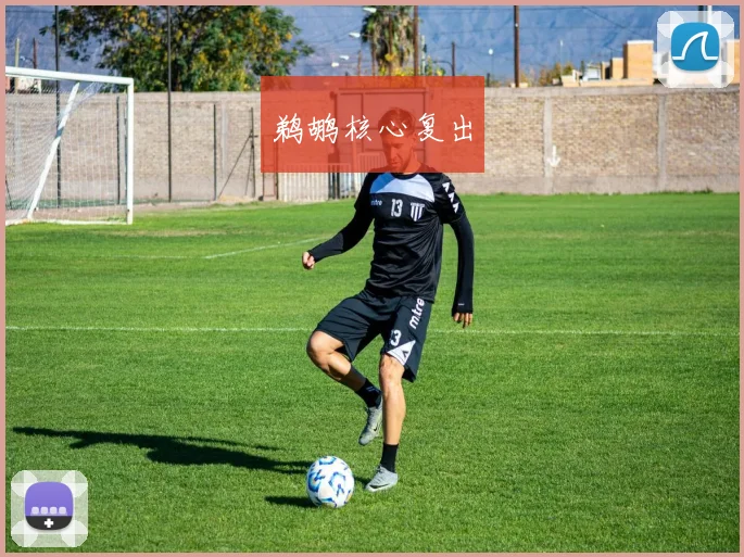 鹈鹕核心复出