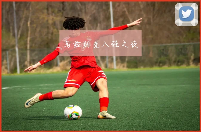 乌兹别克八强之夜