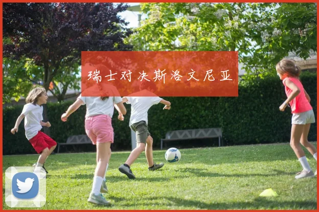 瑞士对决斯洛文尼亚