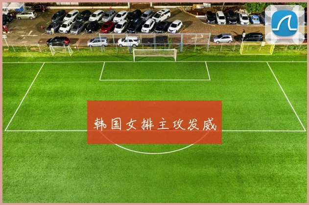 韩国女排主攻发威