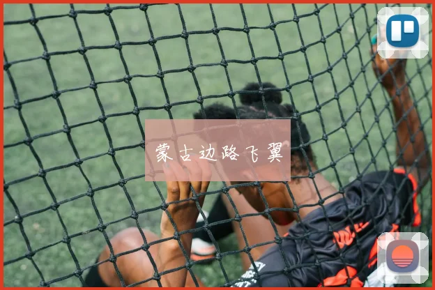 蒙古边路飞翼
