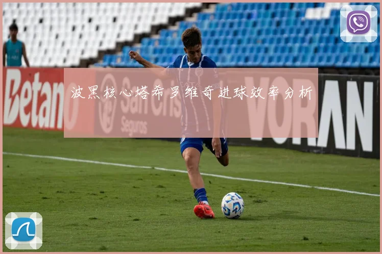 波黑核心塔希罗维奇进球效率分析