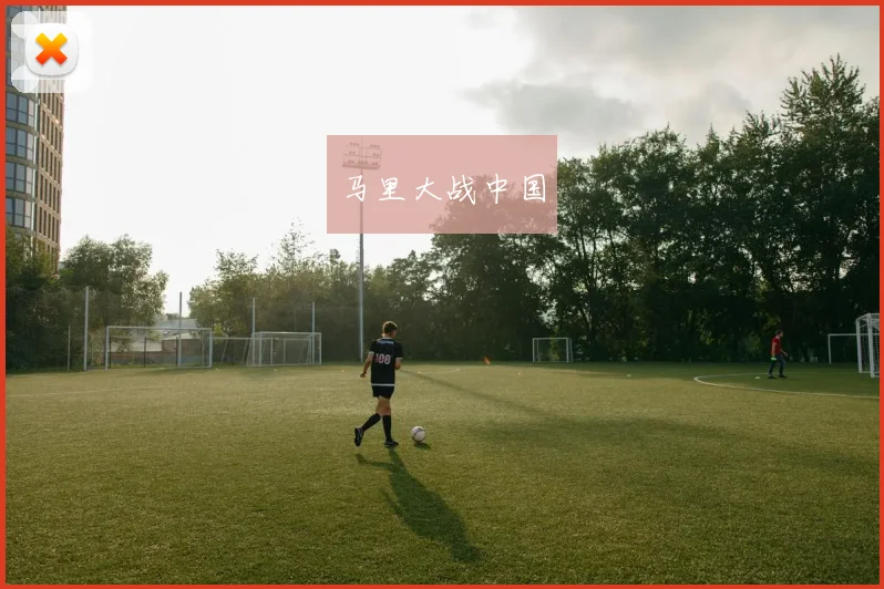 马里大战中国