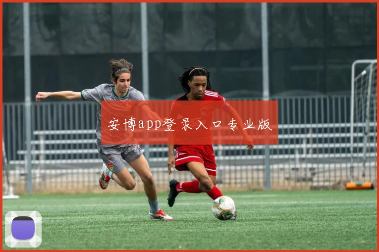 安博app登录入口专业版