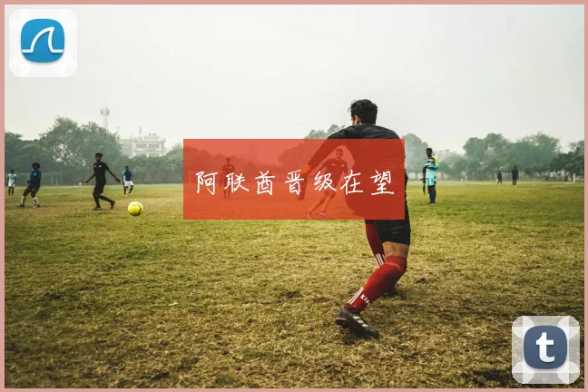 阿联酋晋级在望