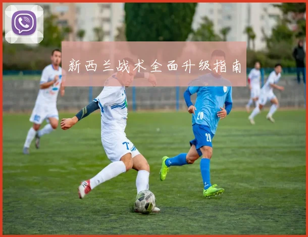 新西兰战术全面升级指南