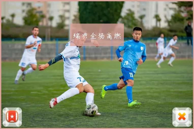 瑞典全场高燃