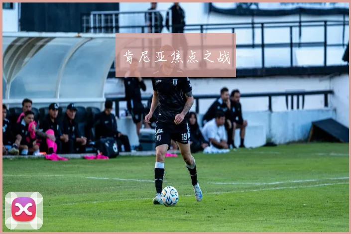 肯尼亚焦点之战