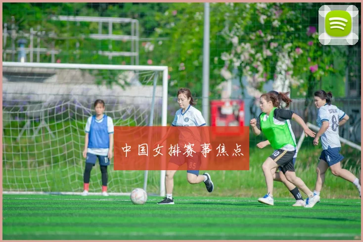 中国女排赛事焦点