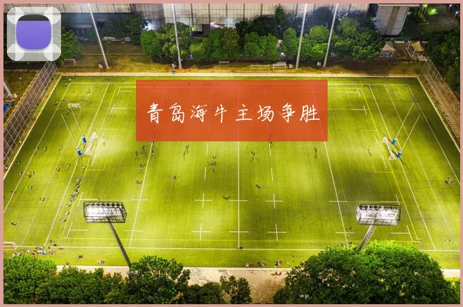 青岛海牛主场争胜