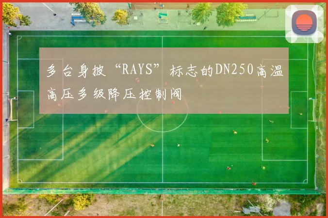 多台身披“RAYS”标志的DN250高温高压多级降压控制阀