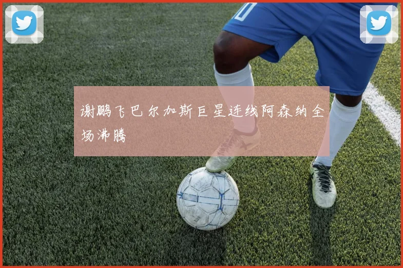 谢鹏飞巴尔加斯巨星连线阿森纳全场沸腾
