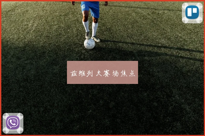 兹维列夫赛场焦点