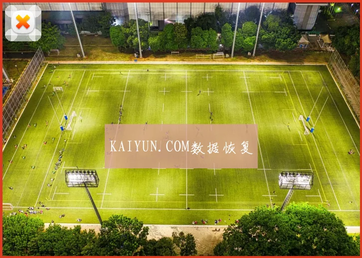 KAIYUN.COM数据恢复