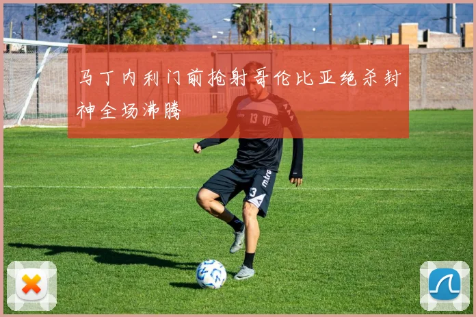 马丁内利门前抢射哥伦比亚绝杀封神全场沸腾