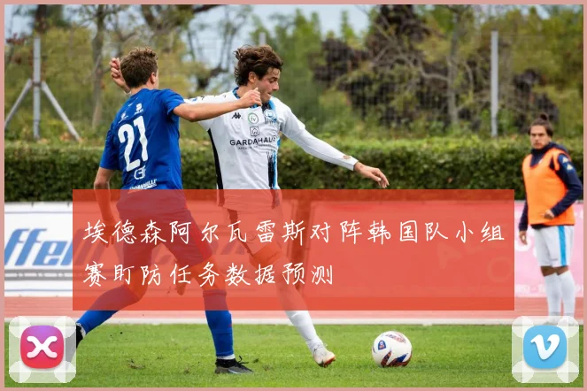 埃德森阿尔瓦雷斯对阵韩国队小组赛盯防任务数据预测