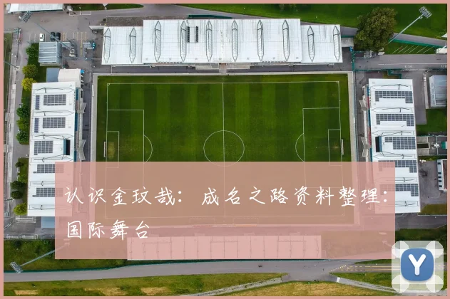 认识金玟哉:成名之路资料整理:国际舞台