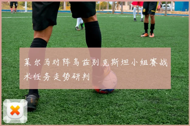 莱尔马对阵乌兹别克斯坦小组赛战术任务走势研判