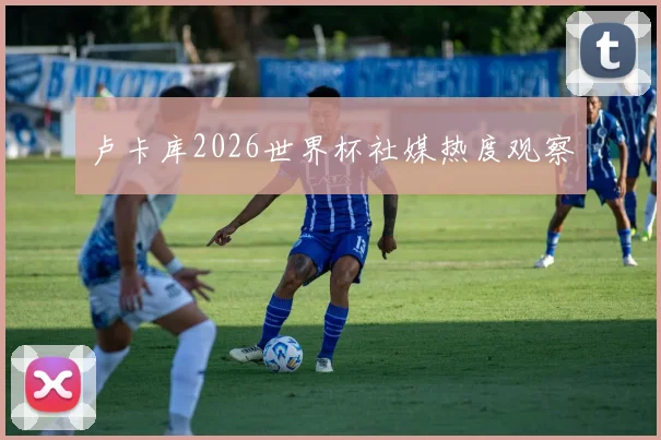 卢卡库2026世界杯社媒热度观察