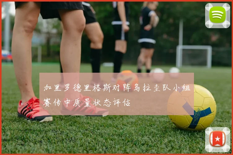 加里罗德里格斯对阵乌拉圭队小组赛传中质量状态评估